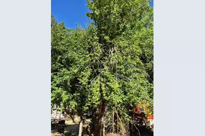 165 Coffeeberry Dr, Boulder Creek, CA 95006 - Photo 57