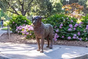 10 9th Ave 206, San Mateo, CA 94401 - Photo 41