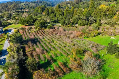 206 Gaffey Rd, Watsonville, CA 95076 - Photo 51