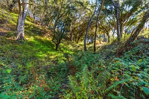 206 Gaffey Rd, Watsonville, CA 95076 - Photo 59