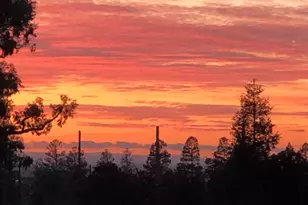 7931 Caledonia Dr, San Jose, CA 95135 - Photo 45