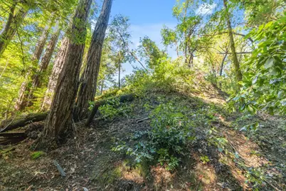 01 Lompico Rd, Felton, CA 95018 - Photo 5