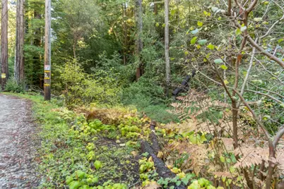 4 Old Mill Ave, Felton, CA 95018 - Photo 1