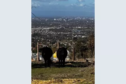 4234 Chaboya Rd, San Jose, CA 95148 - Photo 21