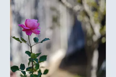 1139 Cape Cod Way, Salinas, CA 93906 - Photo 11