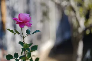 1139 Cape Cod Way, Salinas, CA 93906 - Photo 11