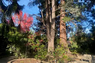 269 Selby Ln, Atherton, CA 94027 - Photo 23