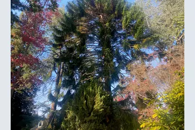 269 Selby Ln, Atherton, CA 94027 - Photo 37