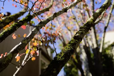 111 Bean Creek Rd 156, Scotts Valley, CA 95066 - Photo 63