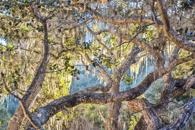 1100 Castro Rd, Monterey, CA 93940 - Photo 37