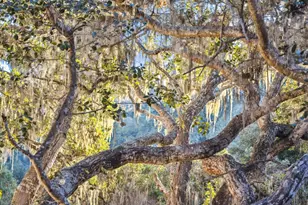 1100 Castro Rd, Monterey, CA 93940 - Photo 37