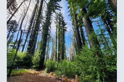 20604 Little Basin Rd, Boulder Creek, CA 95006 - Photo 15