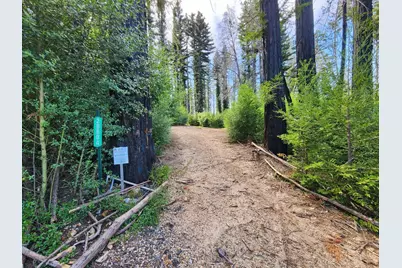 20604 Little Basin Rd, Boulder Creek, CA 95006 - Photo 7