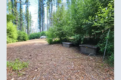 20604 Little Basin Rd, Boulder Creek, CA 95006 - Photo 9