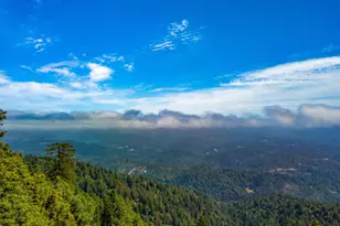 471 Country Estates Terrace, Santa Cruz, CA 95060 - Photo 43