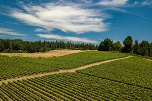 471 Country Estates Terrace, Santa Cruz, CA 95060 - Photo 47