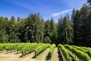 4300 Soquel Dr 204, Soquel, CA 95073 - Photo 33