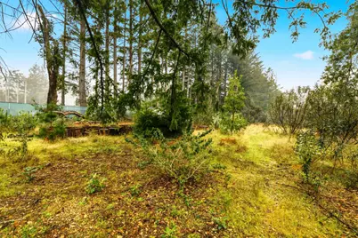 60 Braemoor Dr, Santa Cruz, CA 95060 - Photo 13