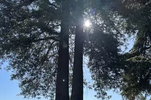 5985 Monterey Rd, Gilroy, CA 95020 - Photo 17