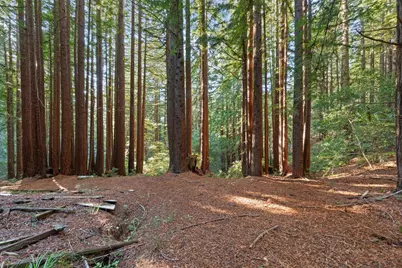 3936 Tunitas Creek Rd, Half Moon Bay, CA 94019 - Photo 19