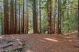 3936 Tunitas Creek Rd, Half Moon Bay, CA 94019 - Photo 19