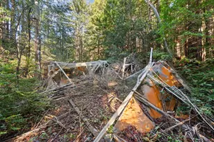 3936 Tunitas Creek Rd, Half Moon Bay, CA 94019 - Photo 23