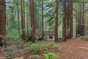 3936 Tunitas Creek Rd, Half Moon Bay, CA 94019 - Photo 15