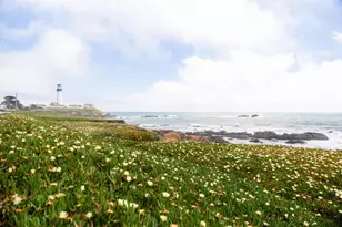 801 Bean Hollow Rd, Pescadero, CA 94060 - Photo 61