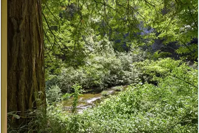 135 Glen Lomond Ln, Ben Lomond, CA 95005 - Photo 57