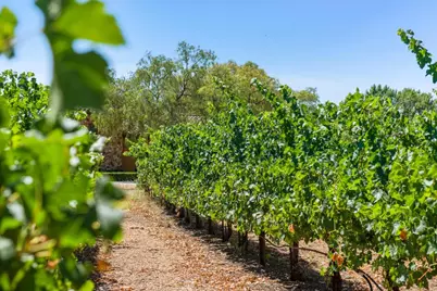 1450 Lakeview Ct, San Martin, CA 95046 - Photo 11