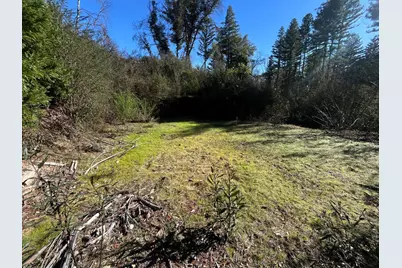 16470 Jamison Creek Rd, Boulder Creek, CA 95006 - Photo 3