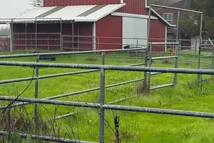 3205 Fifield Rd, Pleasant Grove, CA 95668 - Photo 13