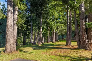 7 N Name Rd, Los Gatos, CA 95033 - Photo 47