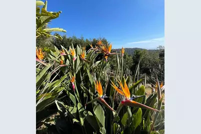 132 Pax Place Ct, Aptos, CA 95003 - Photo 43
