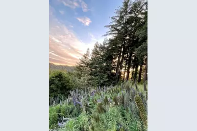 132 Pax Place Ct, Aptos, CA 95003 - Photo 49