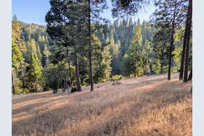 20130 Pine Mountain Dr #4,137, Groveland, CA 95321 - Photo 7