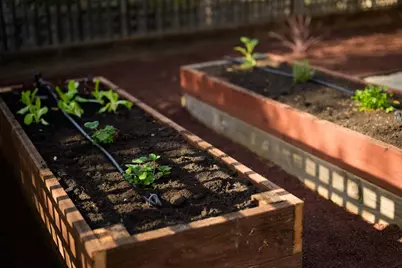 602 Navarra Dr, Scotts Valley, CA 95066 - Photo 103