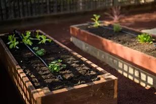 602 Navarra Dr, Scotts Valley, CA 95066 - Photo 103