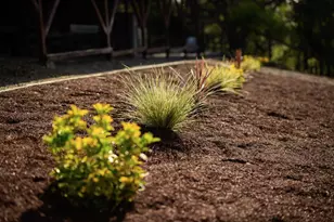 602 Navarra Dr, Scotts Valley, CA 95066 - Photo 99