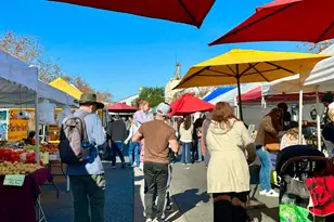 80 Wright Ave, Morgan Hill, CA 95037 - Photo 25