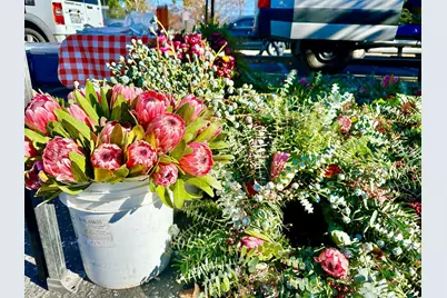 80 Wright Ave, Morgan Hill, CA 95037 - Photo 27