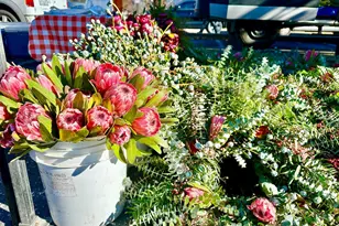 80 Wright Ave, Morgan Hill, CA 95037 - Photo 27