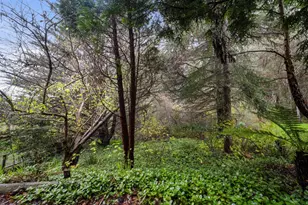 239 San Juan Ave, El Granada, CA 94018 - Photo 37