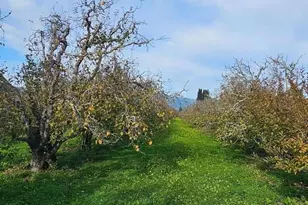 0 Varni Rd, Corralitos, CA 95076 - Photo 1