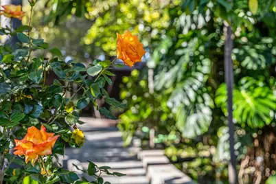 4080 Leigh Ave, San Jose, CA 95124 - Photo 47