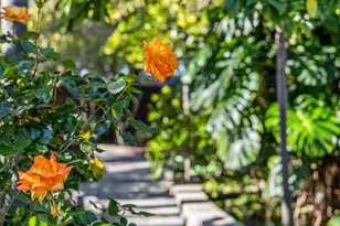 4080 Leigh Ave, San Jose, CA 95124 - Photo 47