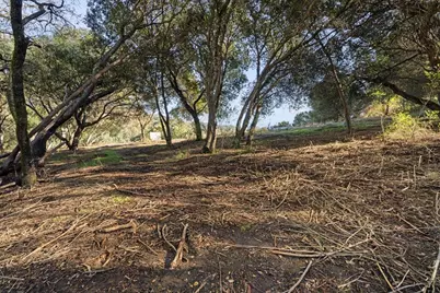 00-1 Old Santa Cruz Highway, Los Gatos, CA 95033 - Photo 9