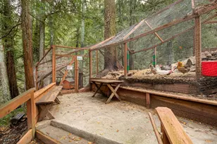 9913 Alba Rd, Ben Lomond, CA 95005 - Photo 5