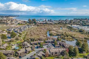 102 Tree Frog Ln, Santa Cruz, CA 95060 - Photo 43