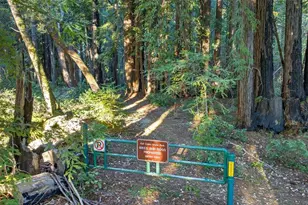 8472 Empire Grade, Santa Cruz, CA 95060 - Photo 55